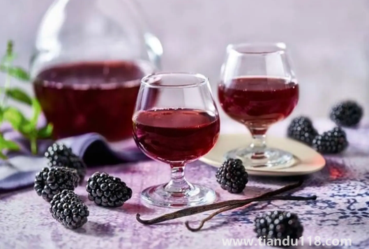 桑葚泡酒多久把桑葚渣撈出來(lái)（桑葚泡酒有什么功效和作用）