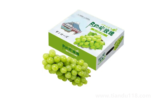 陽(yáng)光玫瑰葡萄和晴王葡萄哪個(gè)價(jià)格貴（晴王葡萄多少錢一斤）