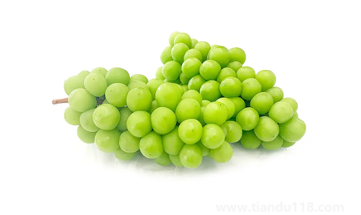 陽(yáng)光玫瑰葡萄是熱性還是涼性（陽(yáng)光玫瑰葡萄多少錢一斤）