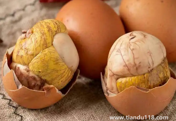 活珠子男人吃了補身體嗎(活珠子怎么吃)(圖3) 活珠子男人吃了補身體嗎3