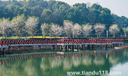 2022國(guó)慶開(kāi)車去長(zhǎng)沙是1號(hào)走好還是30號(hào)晚上好3