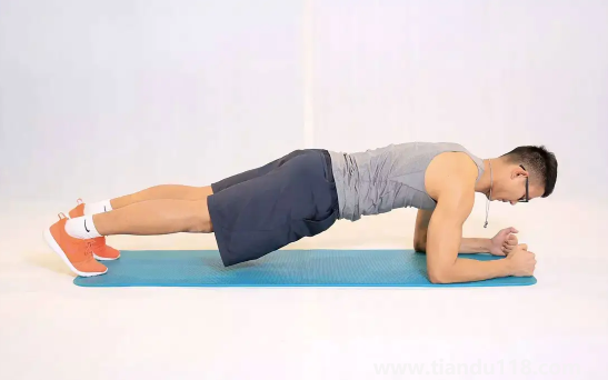 平板支撐一次多長時(shí)間有效果(平板支撐是練什么部位)(圖3) 平板支撐一次多長時(shí)間有效果3