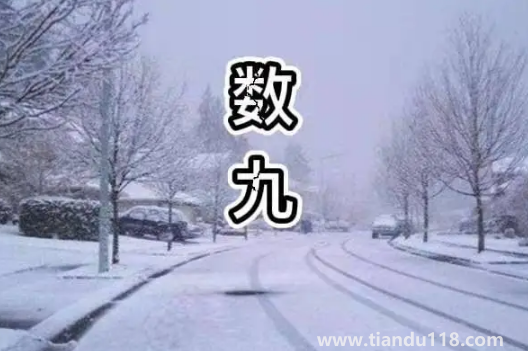 2022年一九是哪天幾月幾號(hào)星期幾(冬至是一九的開始嗎)(圖1) 2022年一九是哪天幾月幾號(hào)星期幾1