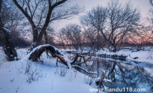 2022年一九是哪天幾月幾號(hào)星期幾(冬至是一九的開始嗎)(圖3) 2022年一九是哪天幾月幾號(hào)星期幾3