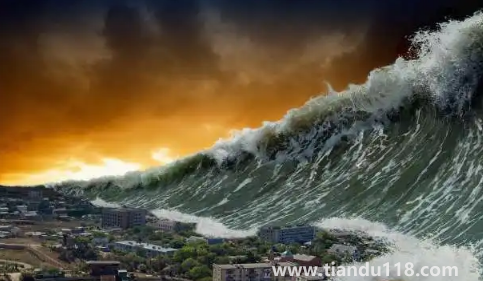 2035年到底是什么災(zāi)難發(fā)生(2035喪尸病毒會(huì)來到中國(guó)嗎)(圖3) 2035年到底是什么災(zāi)難發(fā)生3