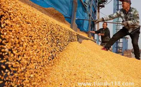 預(yù)言饑荒馬上要來了真的假的(中國(guó)是哪年鬧的饑荒)(圖3) 預(yù)言饑荒馬上要來了真的假的3