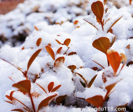 2023夏天有多熱冬天就有多冷是真的嗎(2022年到2023年是寒冬年嗎)(圖3) 夏天有多熱冬天就有多冷是真的嗎20233