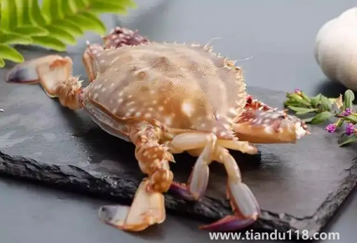 梭子蟹買(mǎi)回來(lái)沒(méi)多久就死了可以吃嗎(梭子蟹的做法推薦)(圖2) 梭子蟹買(mǎi)回來(lái)沒(méi)多久就死了可以吃嗎2