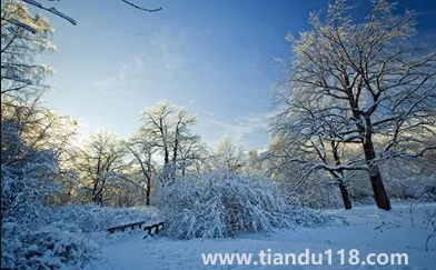 2022到2023年冬天會(huì)是暖冬嗎(2022年什么時(shí)候入冬)(圖2) 2022到2023年冬天會(huì)是暖冬嗎2