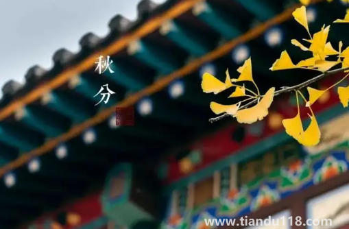 2022年秋分是農(nóng)歷幾月幾號幾點(diǎn)幾分幾秒(秋分怎么養(yǎng)生)(圖3) 2022年秋分是農(nóng)歷幾月幾號幾點(diǎn)幾分幾秒3