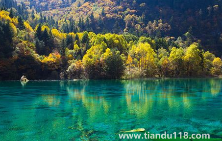 九寨溝今年國(guó)慶節(jié)開放嗎2022(游九寨溝什么月份最佳)(圖2) 九寨溝今年國(guó)慶節(jié)開放嗎20222