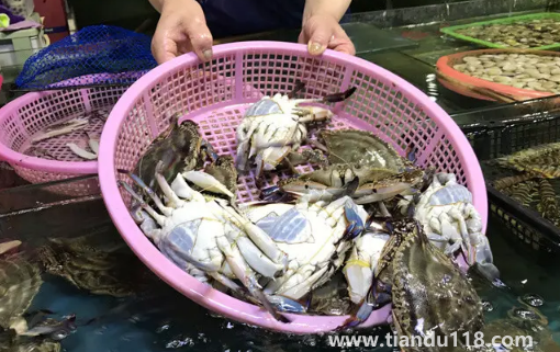 梭子蟹剛死放明天吃行嗎(梭子蟹怎么看死了多久)(圖2) 梭子蟹剛死放明天吃行嗎2