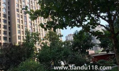 18層供熱末端是在八樓嗎3