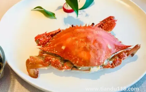 梭子蟹水煮好吃還是清蒸好吃(梭子蟹怎么挑選) 梭子蟹水煮好吃還是清蒸好吃(梭子蟹怎么挑選)