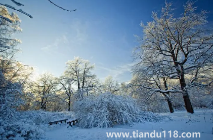 2023年冬季預(yù)測(cè)冷還是暖(2023年的冬天還會(huì)冷嗎)(圖3) 2023年冬季預(yù)測(cè)冷還是暖3