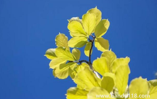 2022國慶節(jié)會有冷空氣嗎(國慶節(jié)天氣怎么樣)(圖2) 2022國慶節(jié)會有冷空氣嗎2