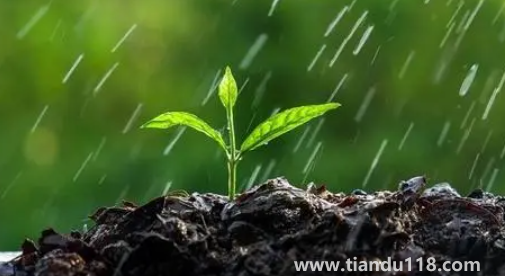 2022深圳10月份雨水多嗎(深圳一年中雨水最多的是哪些月份)(圖2) 2022深圳10月份雨水多嗎2