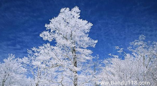 2022上海幾月份進入冬季3