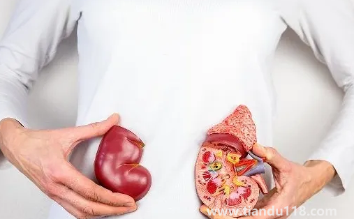 止痛藥吃多了會(huì)導(dǎo)致腎衰竭嗎(腎衰竭怎么引起來的)(圖1) 止痛藥吃多了會(huì)導(dǎo)致腎衰竭嗎1