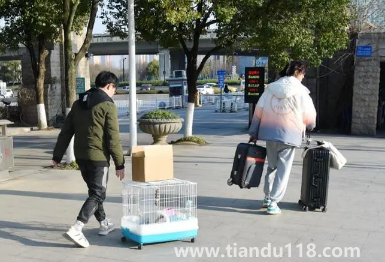 2023年春節(jié)假期會(huì)延長(zhǎng)嗎（2023春節(jié)什么時(shí)候放假）