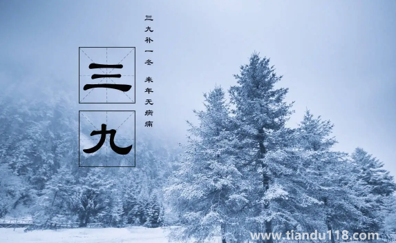 2023年三九天的起止時間(三九天要吃什么)(圖3) 2023年三九天的起止時間3