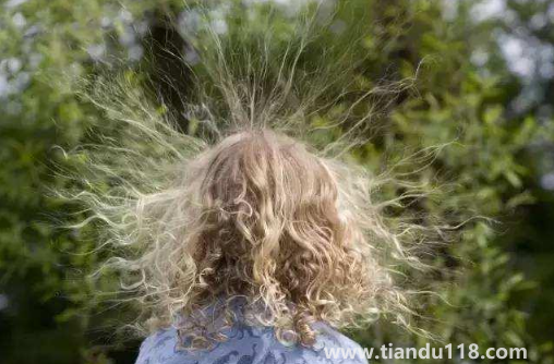 人體佩戴什么可以消除靜電(怎么防靜電)(圖3) 人體佩戴什么可以消除靜電3