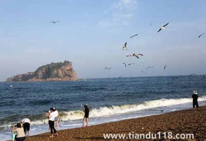 2022年大連國慶期間會人山人海嗎(國慶去大連旅游要玩幾天)(圖1) 2022年大連國慶期間會人山人海嗎1