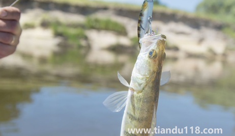 2022北京冬至的溫度一般是多少攝氏度(北京冬至期間穿什么合適)(圖2) 2022北京冬至的溫度一般是多少攝氏度2