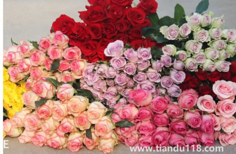 網(wǎng)上買(mǎi)的鮮花醒花后需要再剪根部嗎2