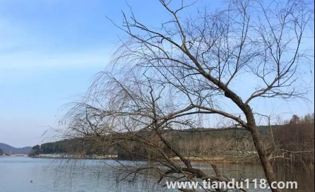 2023年閏二月年景好不好(閏二月什么說(shuō)法)(圖2) 2023年閏二月年景好不好2