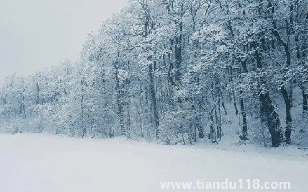 今年元旦北京會下雪嗎2023(元旦去北京穿什么合適)(圖1) 今年元旦北京會下雪嗎20231