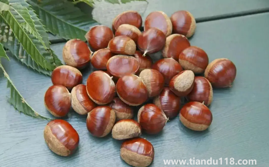 炒熟的板栗可以放冰箱冷凍保存嗎(炒熟的板栗怎么保存)(圖2) 炒熟的板栗可以放冰箱冷凍保存嗎2