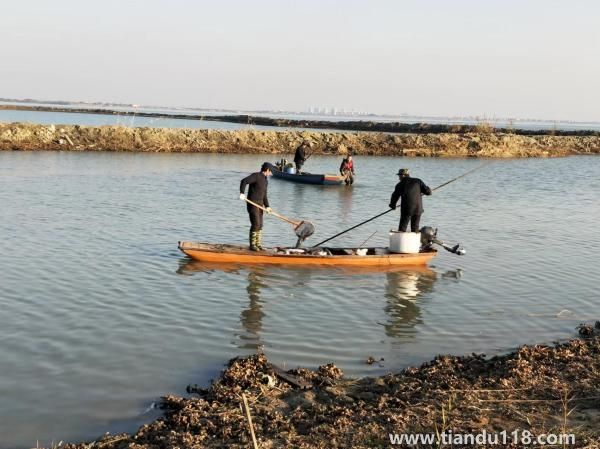 女子放生2.5萬斤鲇魚被起訴（女子繳9萬處置費(fèi)）