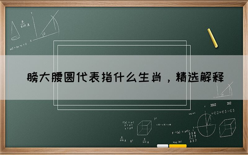 膀大腰圓代表指什么生肖，精選解釋