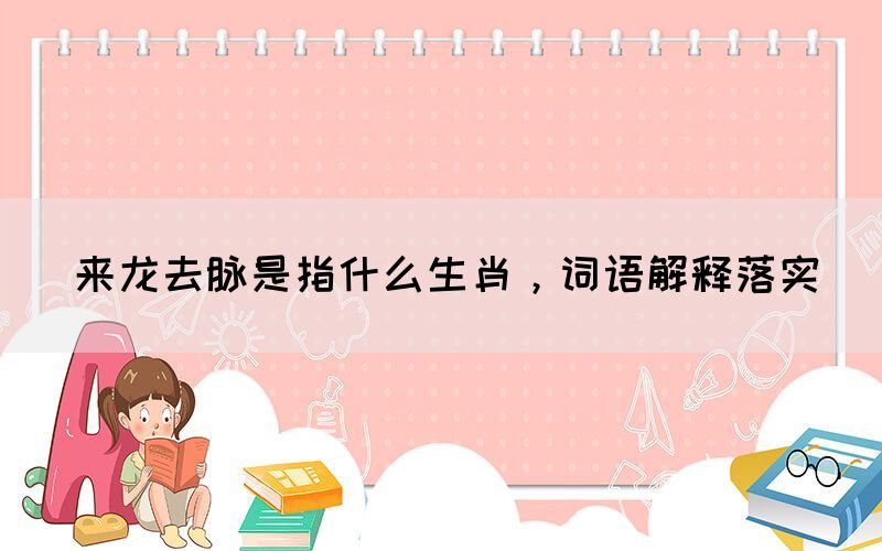 來龍去脈是指什么生肖，詞語解釋落實(shí)