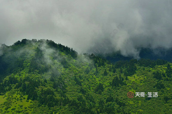 神農(nóng)架都有什么主要景點 神農(nóng)架主要景點有哪些(圖3) 神農(nóng)架都有什么主要景點