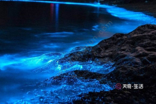 福建除了廈門還有哪里旅行 福建除了廈門可以旅行的地方(圖2) 福建除了廈門還有哪里旅行